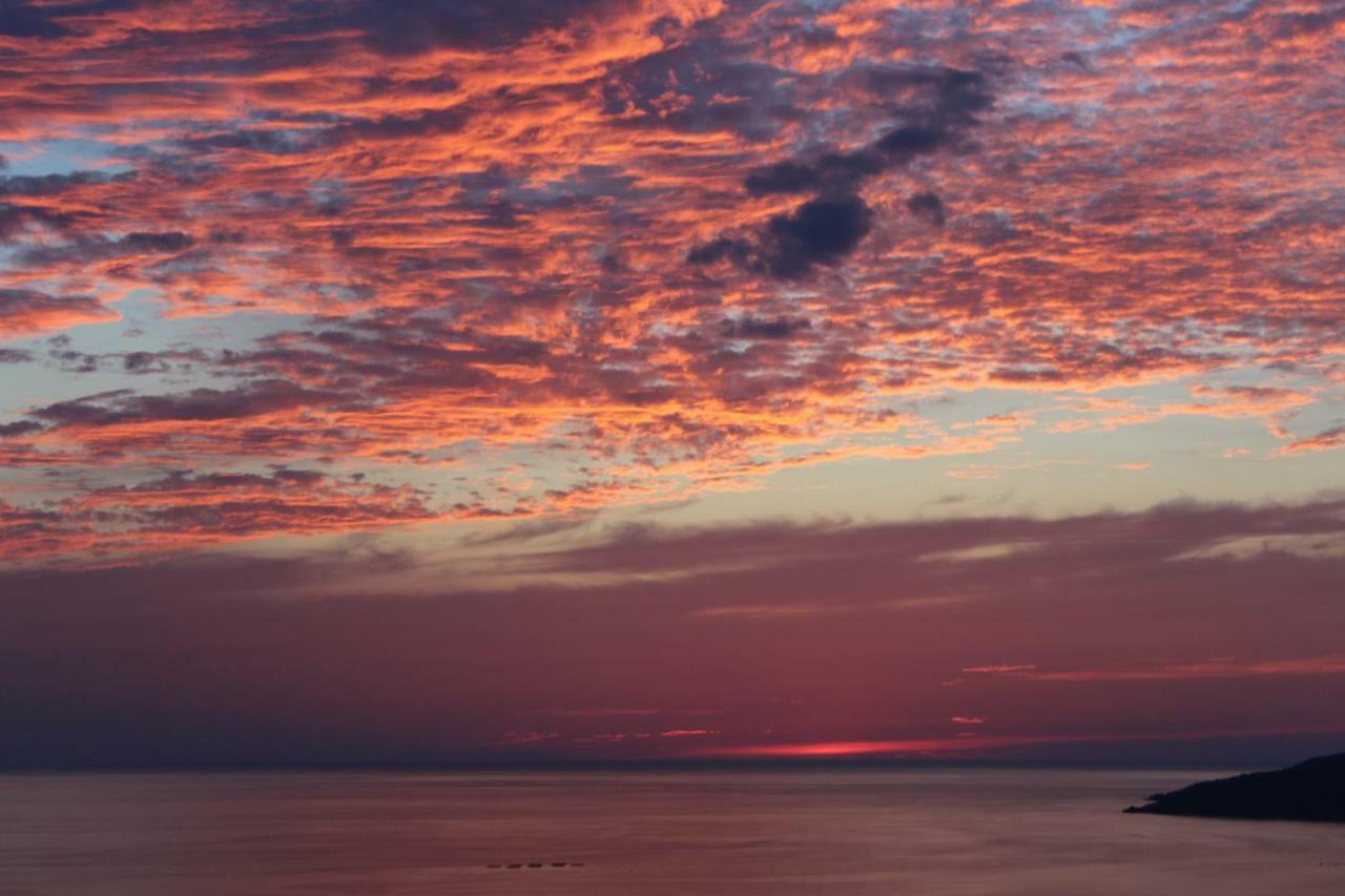 La Terrazza Sul Mare Vila Ascea Exterior foto